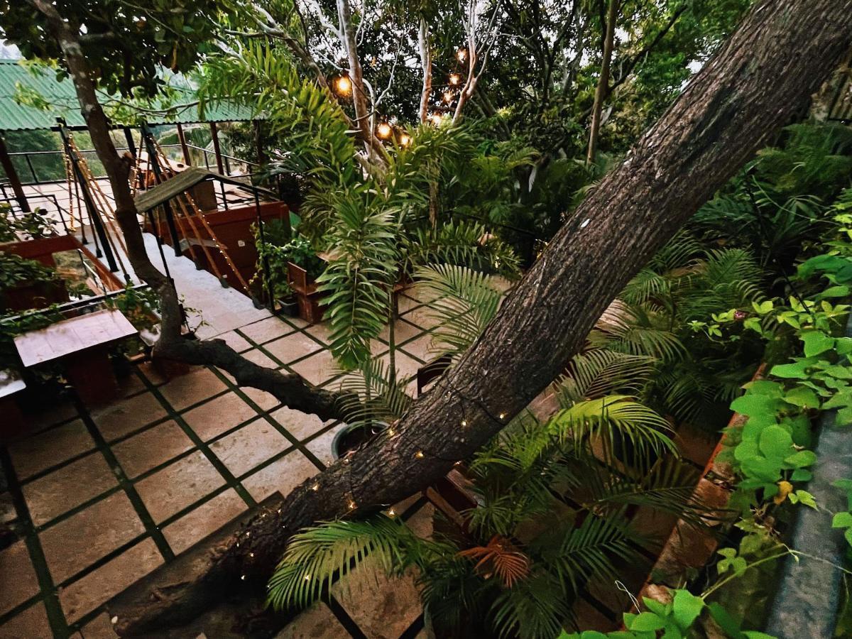 Amazonika Boutique Resort Arpora Kültér fotó